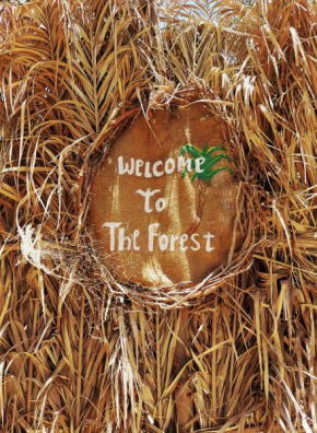 Forest Camp Siwa - كامب الغابة